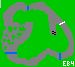 Map: Special Cup - Koopa Beach 2